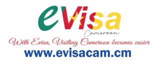 e visa cameroon