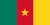 cameroon embassy